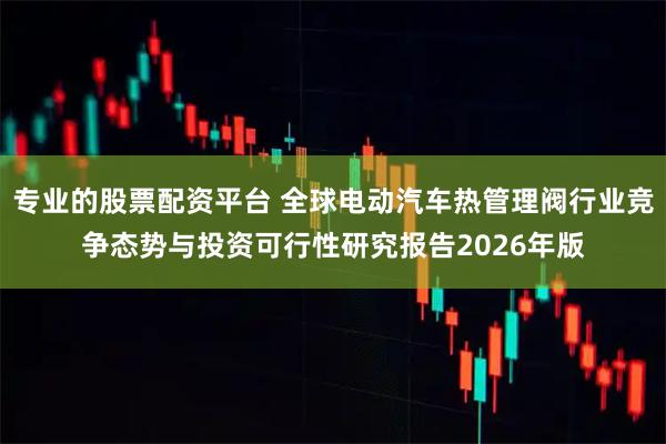 专业的股票配资平台 全球电动汽车热管理阀行业竞争态势与投资可行性研究报告2026年版