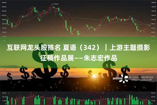 互联网龙头股排名 夏语（342）｜上游主题摄影征稿作品展——朱志宏作品