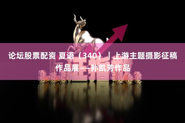 论坛股票配资 夏语（340）｜上游主题摄影征稿作品展——孙凯芳作品