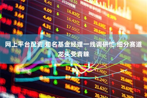 网上平台配资 知名基金经理一线调研忙 细分赛道龙头受青睐